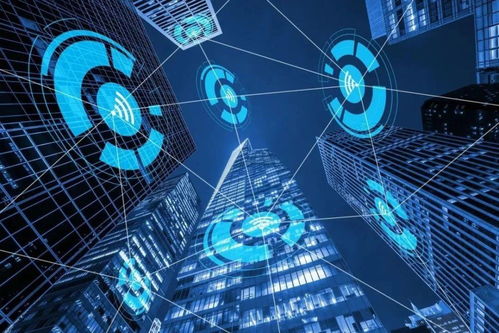 智網(wǎng)安云 東西湖企業(yè)守護(hù)中國(guó)西北網(wǎng)絡(luò)安全，引領(lǐng)網(wǎng)絡(luò)技術(shù)開發(fā)創(chuàng)新